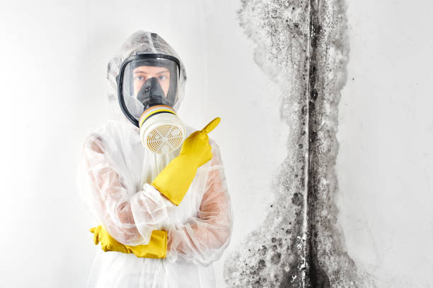 Best Residential Mold Inspection & Testing  in Kingman, AZ