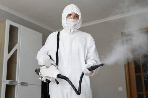 Best Industrial Mold Remediation  in Kingman, AZ