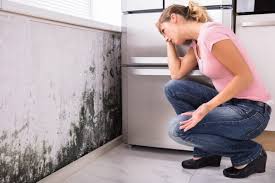 Best Mold Removal for HVAC Installations  in Kingman, AZ