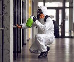 Best Biohazard Mold Removal  in Kingman, AZ